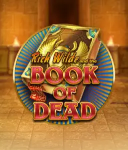 Enter the thrilling world of Book of Dead by Play'n GO, presenting vivid graphics of Rich Wilde's journey through ancient Egyptian tombs and artifacts. Discover lost riches with engaging mechanics like free spins, expanding symbols, and a gamble option. Ideal for adventure seekers with a desire for unearthing secrets.